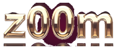 z00m logo